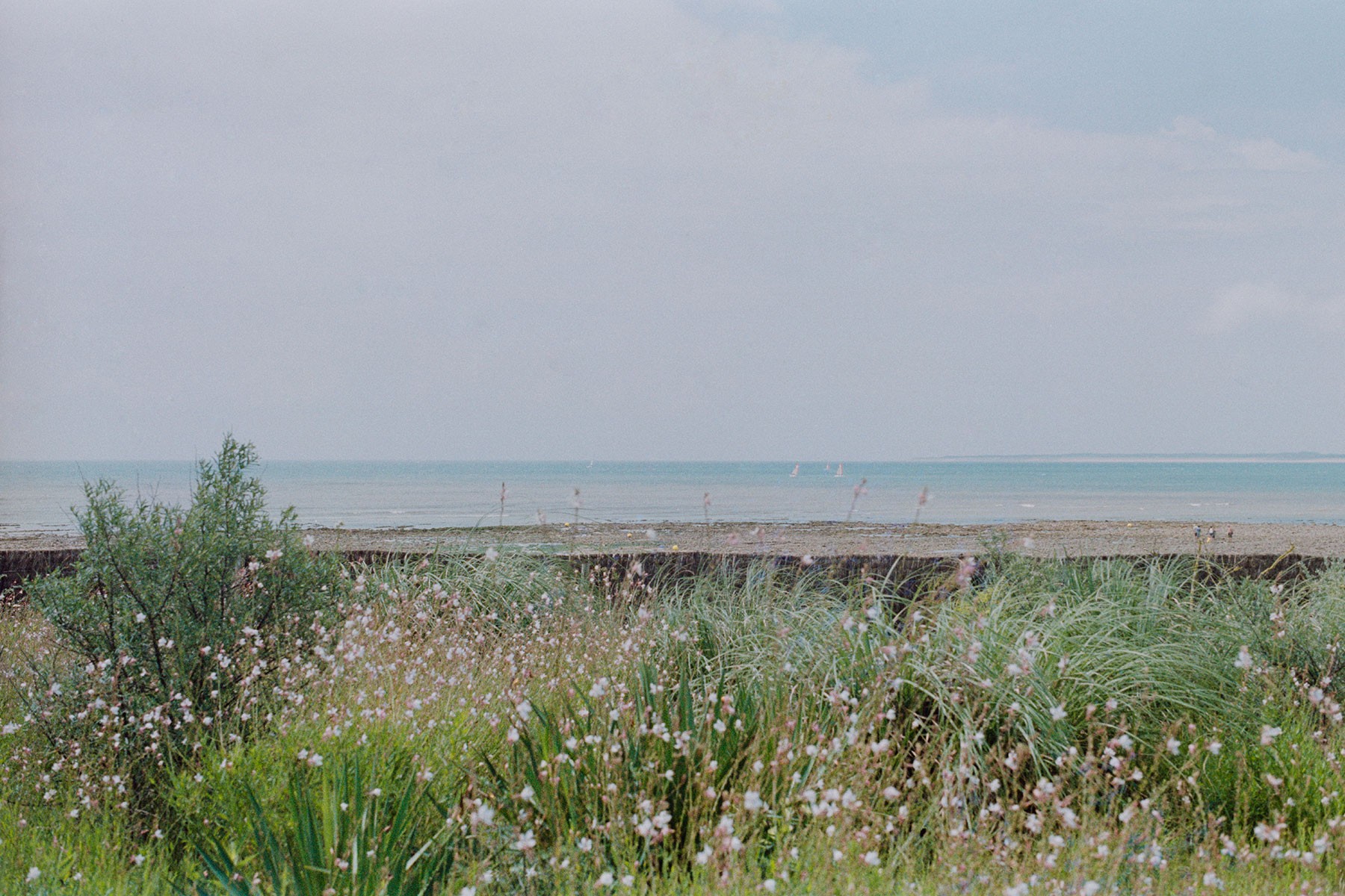 georges-c-titan-julien-lanoo-photo-web-analog-11.jpg